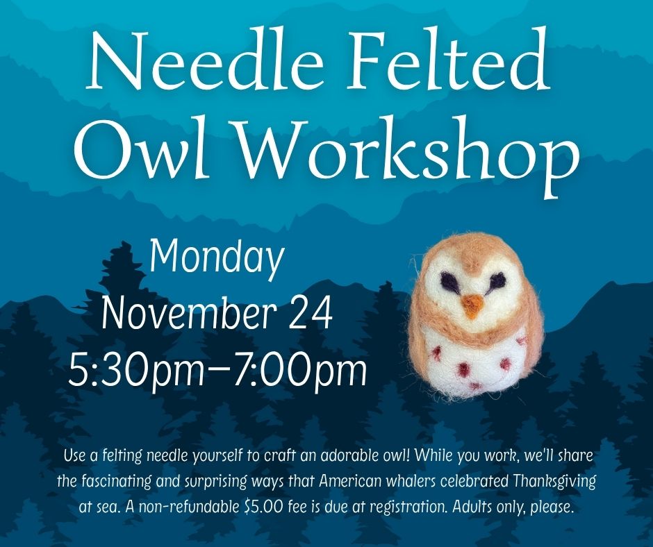 11.24.25 Needle Felted Owl FB (1)